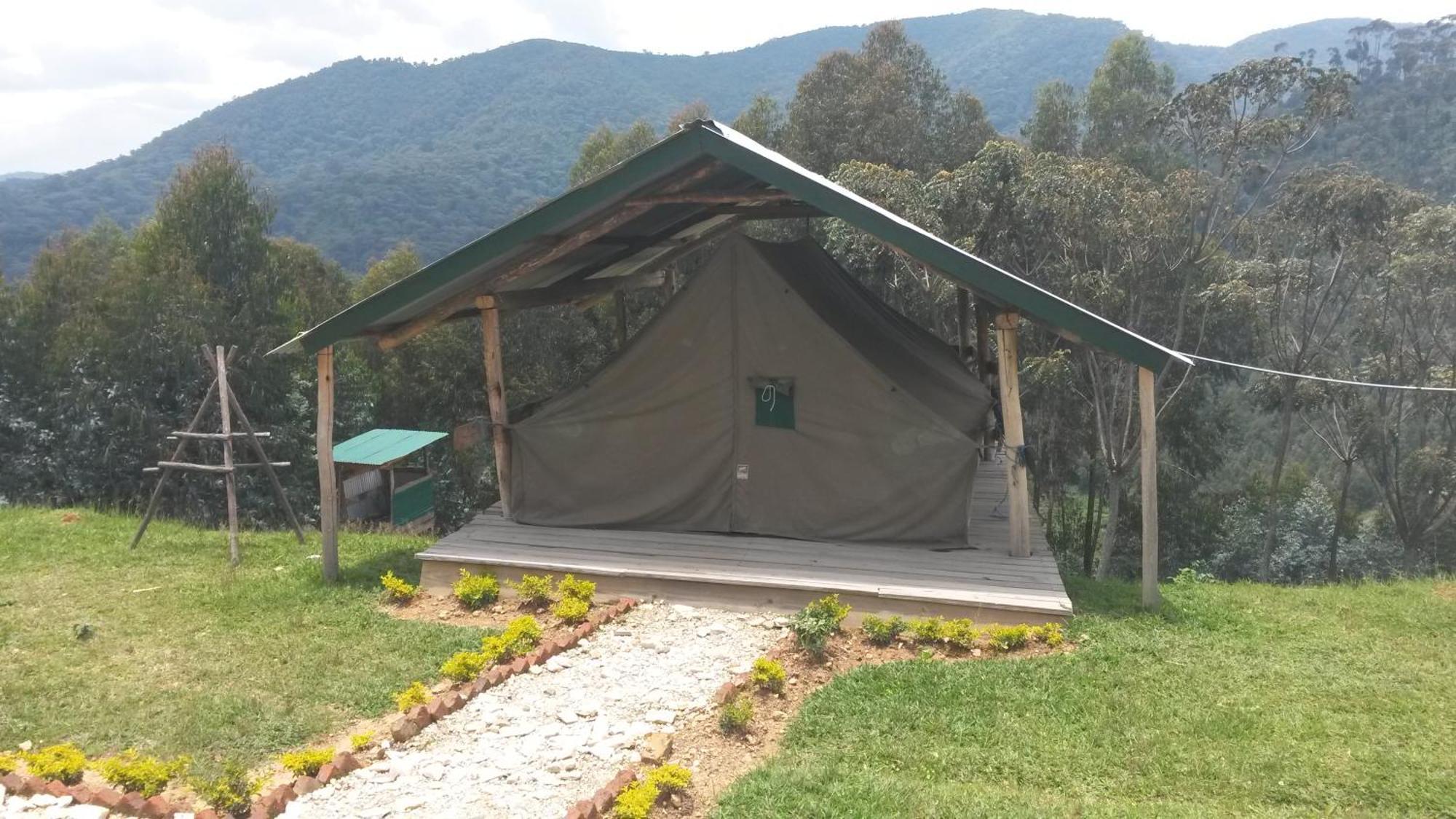 Nyungwe Nziza Ecolodge Kitabi Luaran gambar