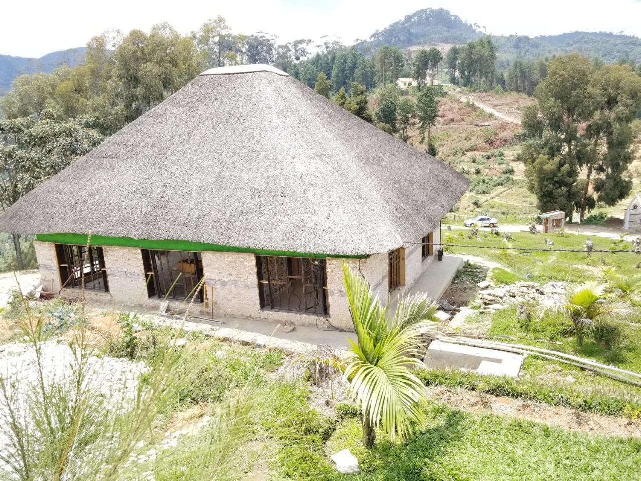 Nyungwe Nziza Ecolodge Kitabi Luaran gambar