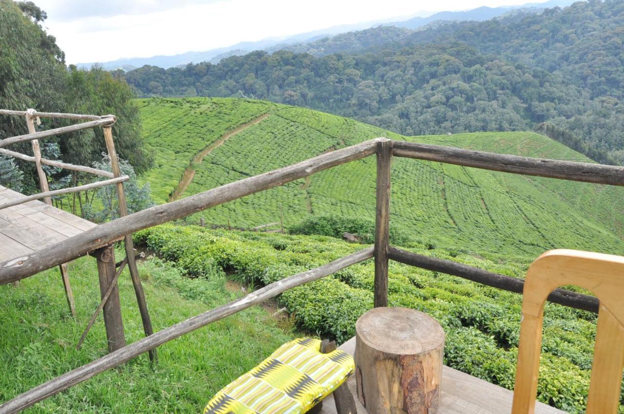 Nyungwe Nziza Ecolodge Kitabi Luaran gambar