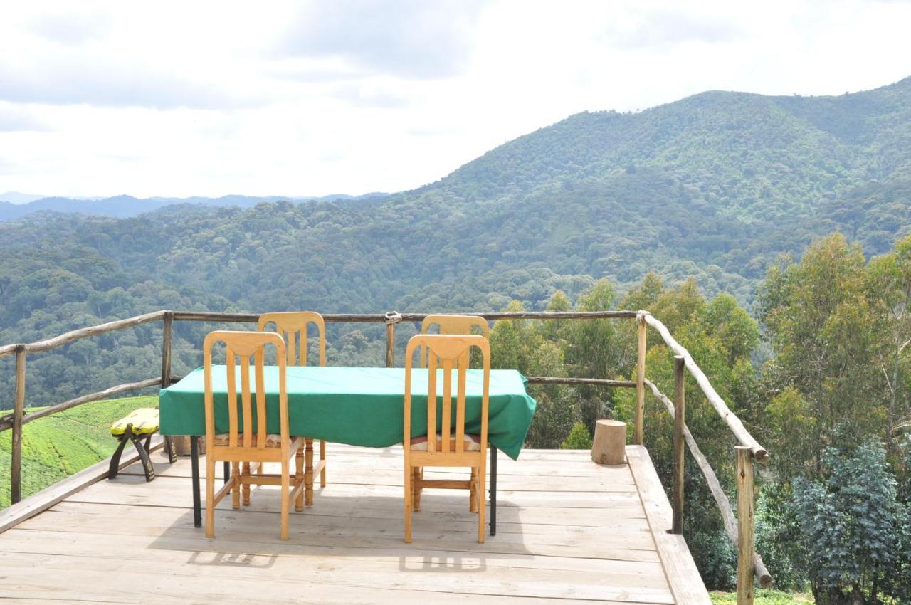 Nyungwe Nziza Ecolodge Kitabi Luaran gambar