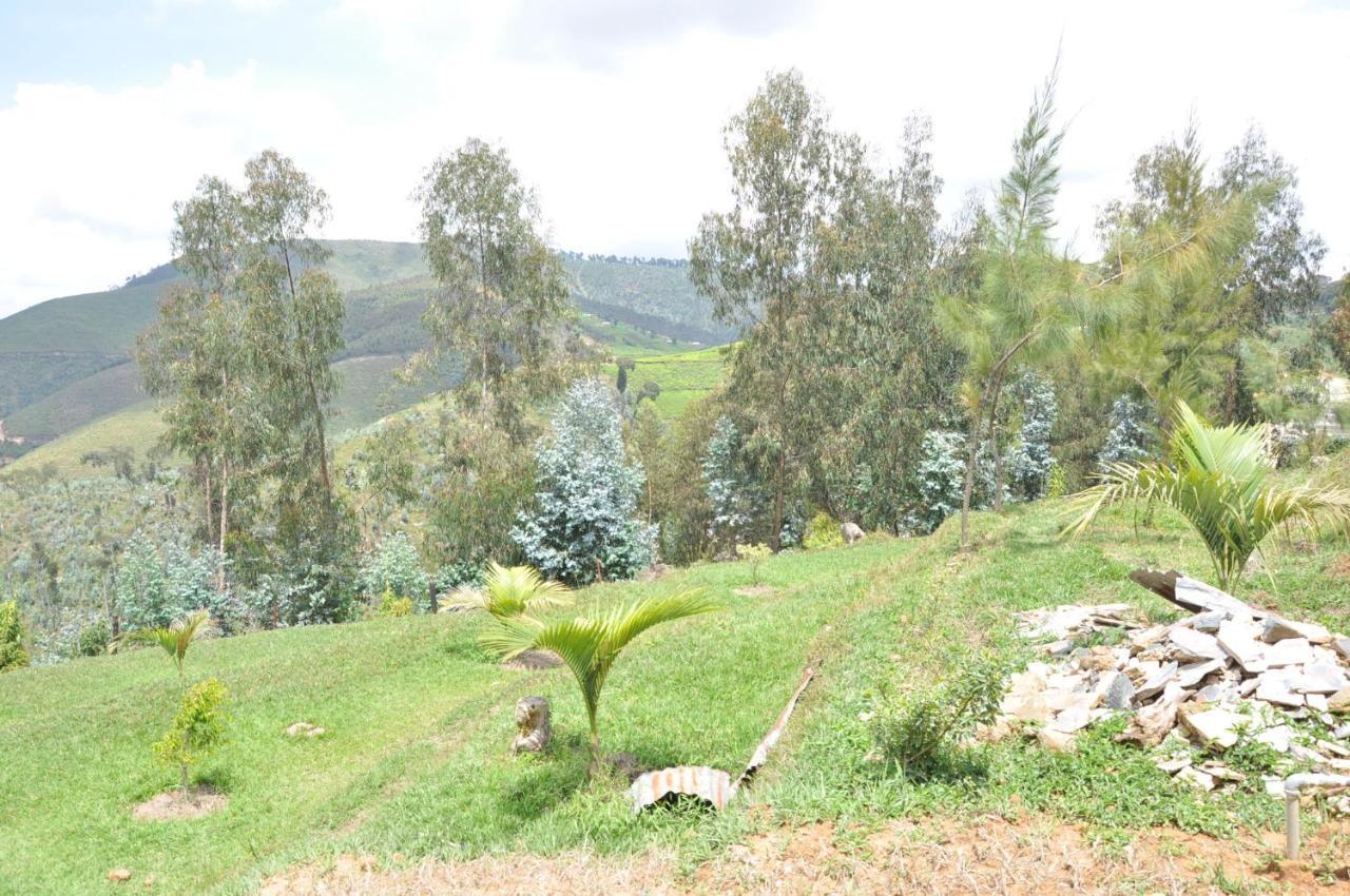 Nyungwe Nziza Ecolodge Kitabi Luaran gambar