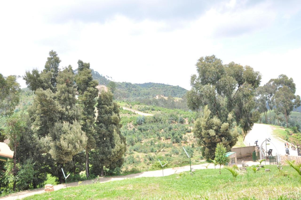 Nyungwe Nziza Ecolodge Kitabi Luaran gambar