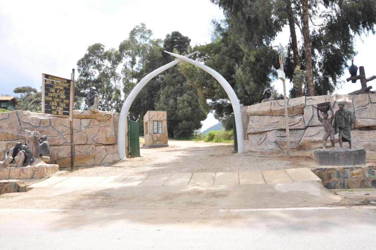Nyungwe Nziza Ecolodge Kitabi Luaran gambar