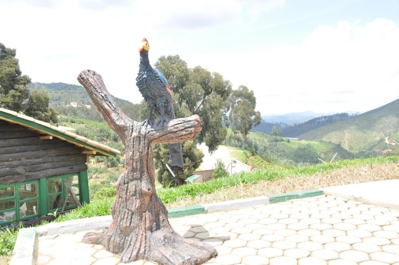 Nyungwe Nziza Ecolodge Kitabi Luaran gambar