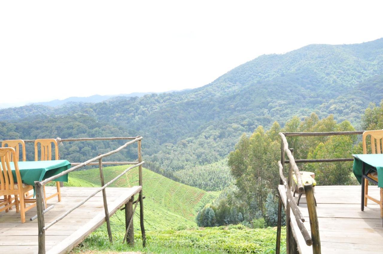 Nyungwe Nziza Ecolodge Kitabi Luaran gambar